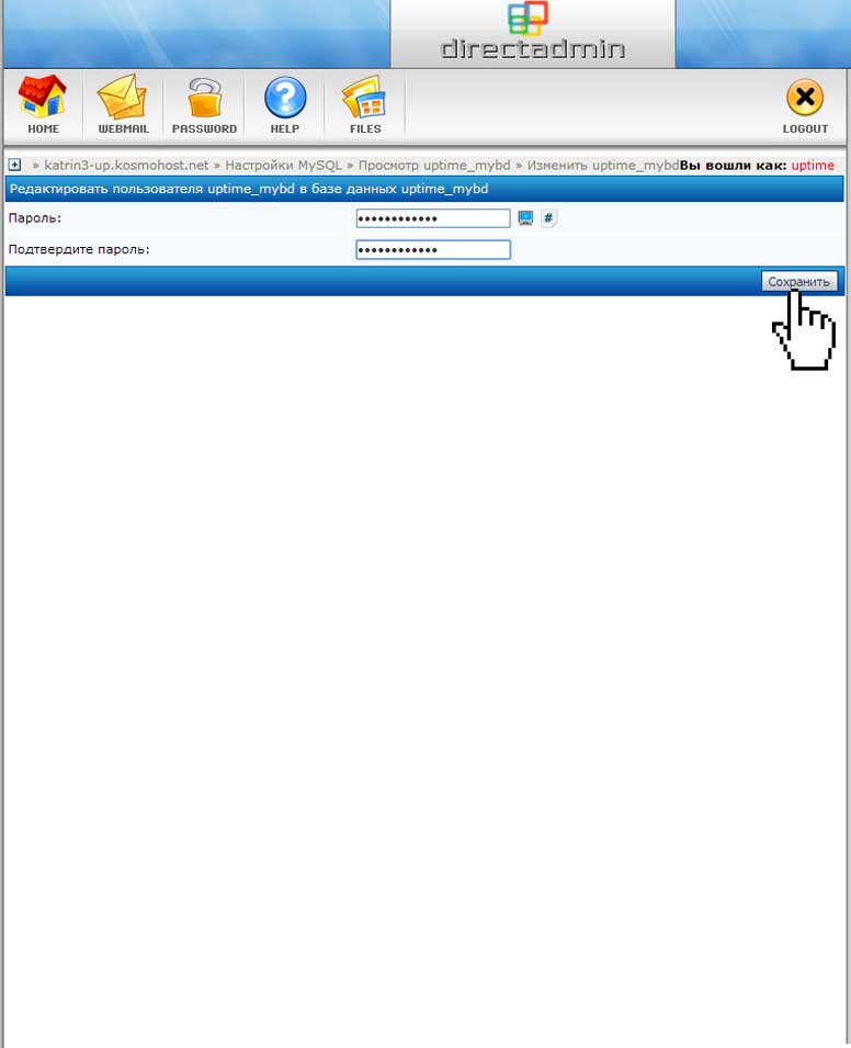 Ввод нового пароля пользователя БД в панели DirectAdmin