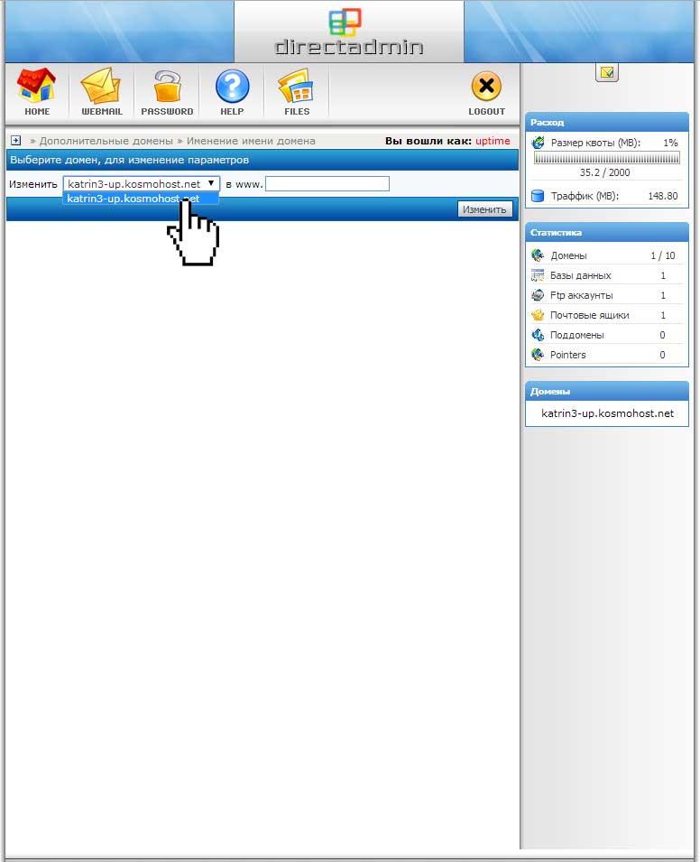 Ввод нового имени домена в панели DirectAdmin