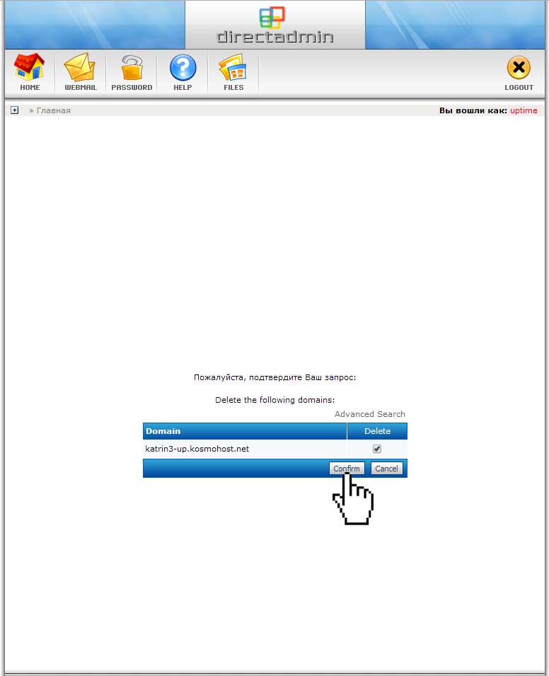 Подтверждение удаления сайта в панели DirectAdmin
