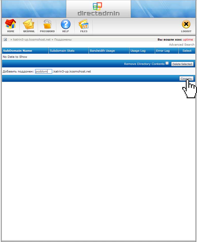 Меню создания поддомена в панели DirectAdmin