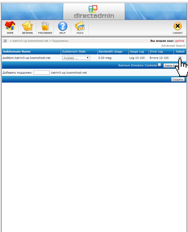 Выбор удаляемого с хостинга поддомена в панели DirectAdmin