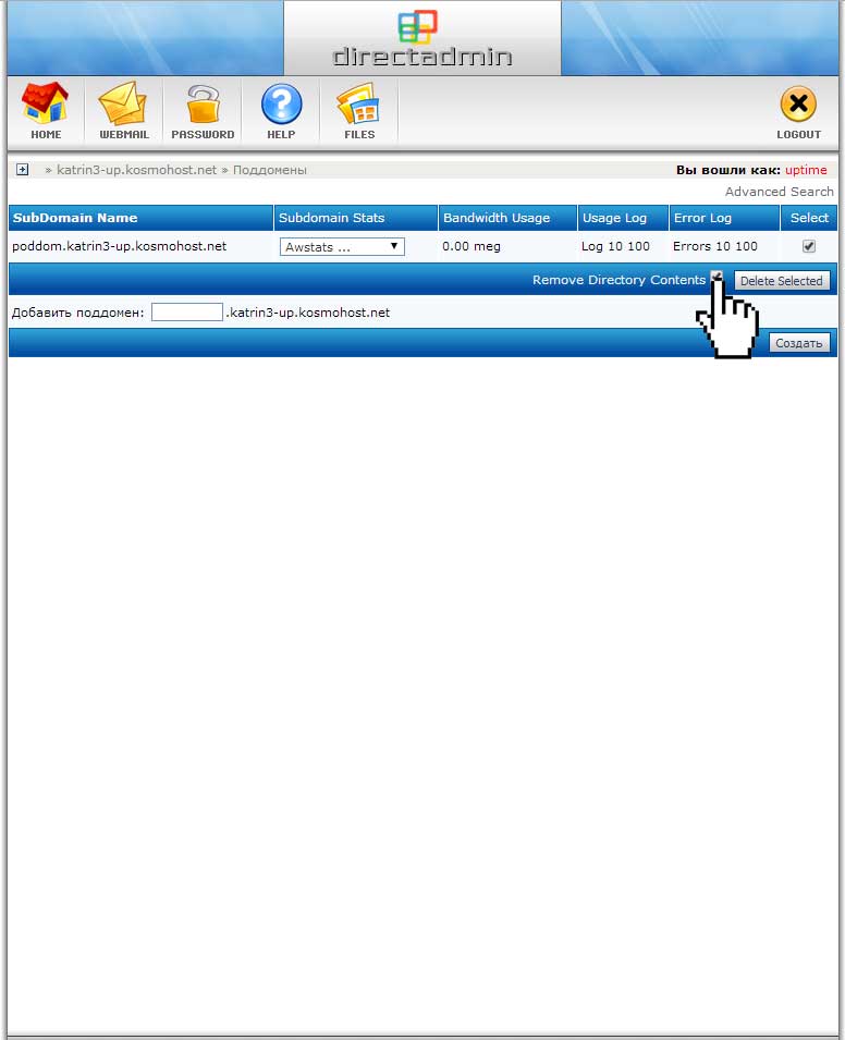 Удаление поддомена с директорией в панели DirectAdmin