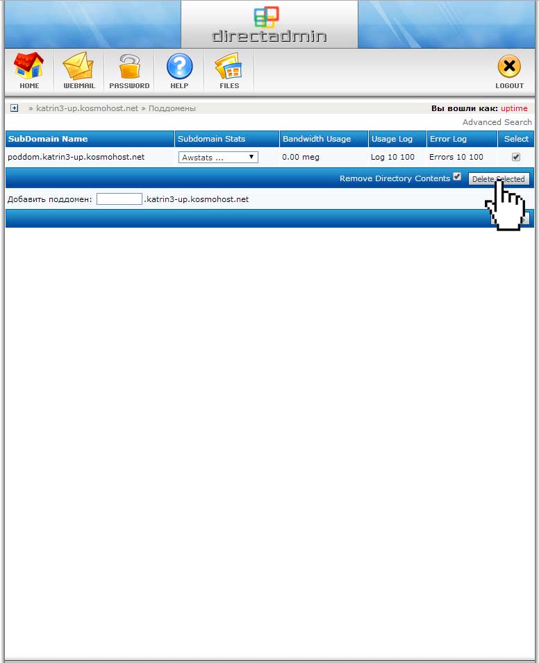 Удаление поддомена с хостинга через панель DirectAdmin