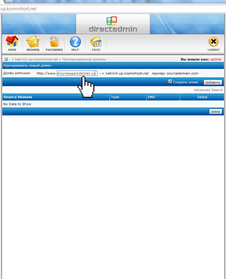 Ввод имени параллельного домена в панели DirectAdmin