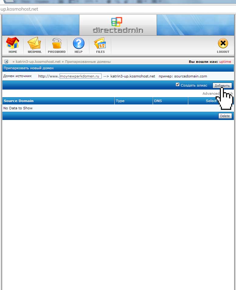 Добавление параллельного домена в панели DirectAdmin