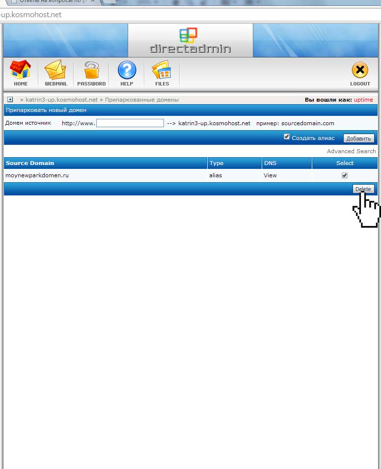 Успешная парковка домена к хостингу в панели DirectAdmin